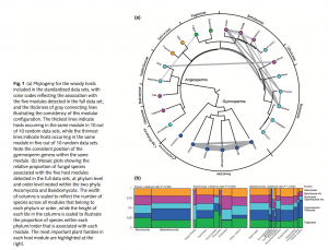 Fungal species richness